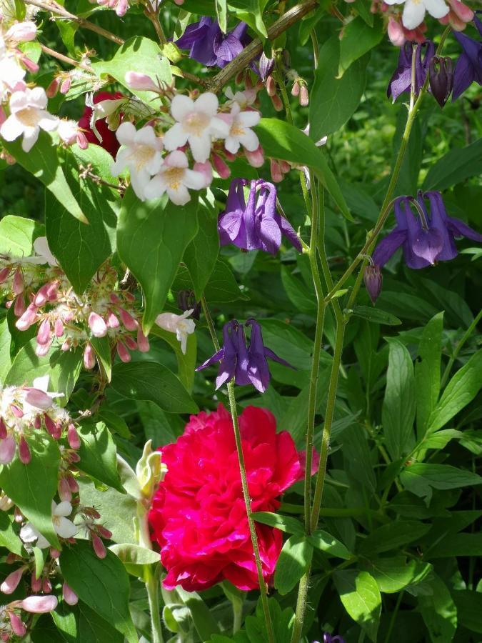 La Malinette B&B, Calme Et Authenticite Malain Екстер'єр фото